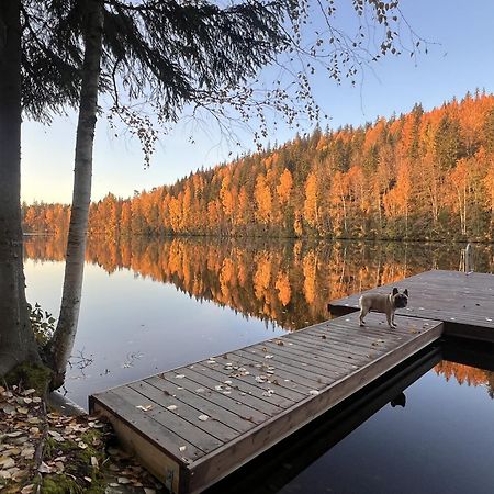 Iken Moekit Villa Heinola Eksteriør bilde