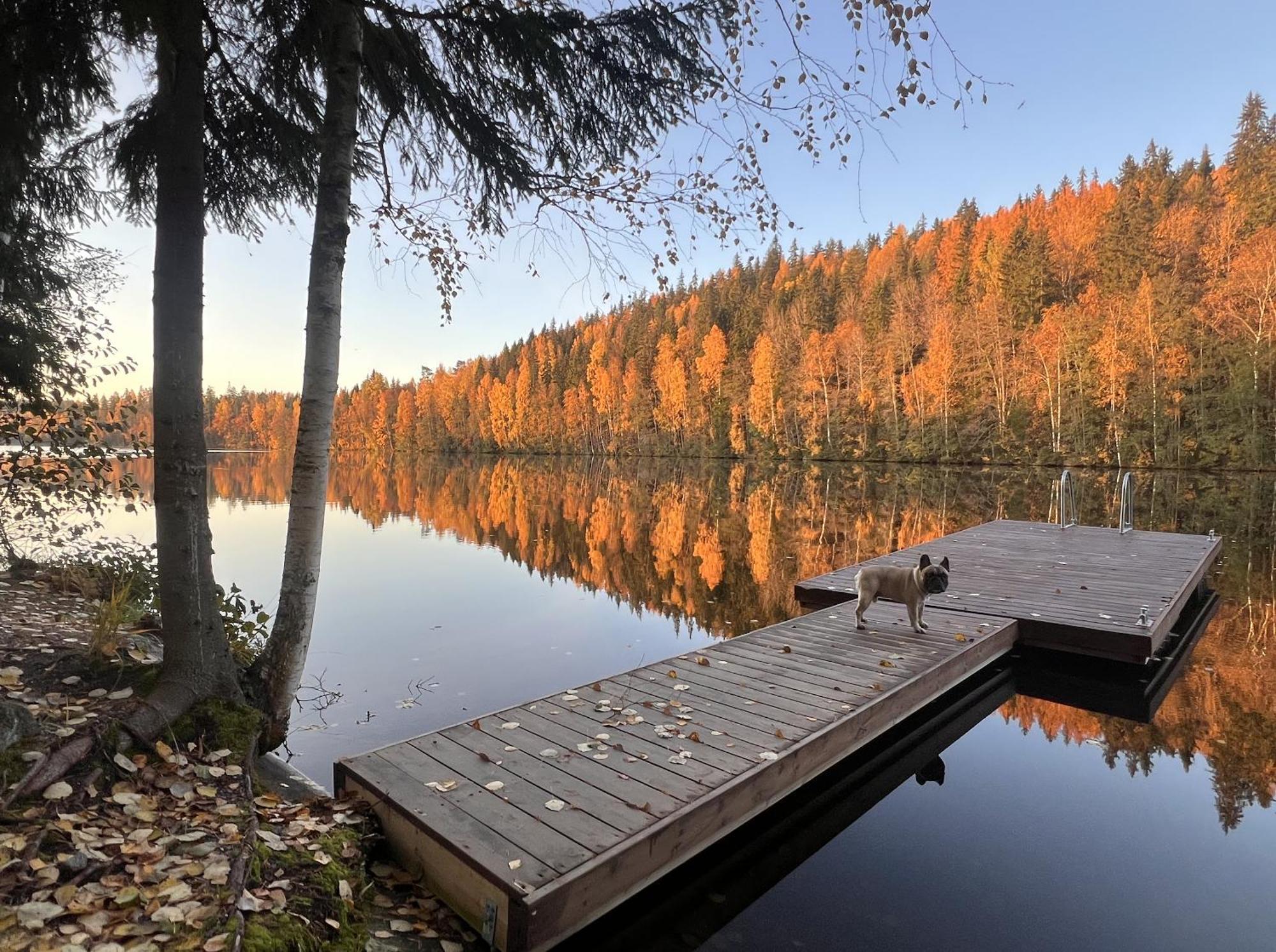 Iken Moekit Villa Heinola Eksteriør bilde